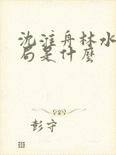 沈淮舟林水伊结局是什么
