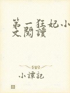 第一狂妃小说全文阅读