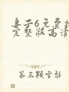 妻子6免费播放完整版高清韩剧