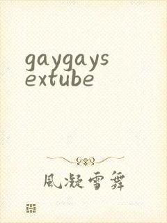 gaygaysextube