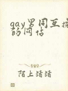 gay男同互操的网站