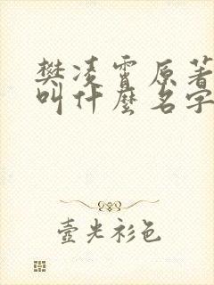 樊凌霄原著小说叫什么名字