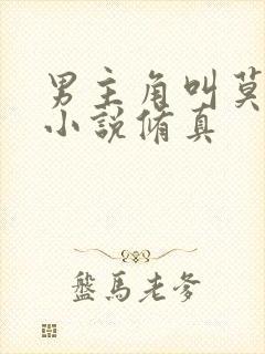 男主角叫莫问的小说修真