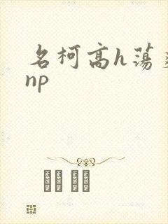 名柯高h荡爽文np