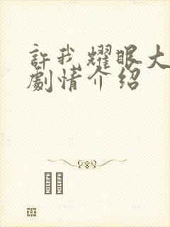 许我耀眼大结局剧情介绍