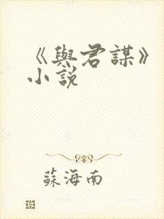 《与君谋》原著小说