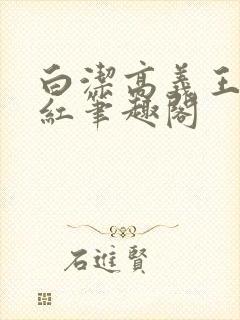 白洁高义王申美红笔趣阁