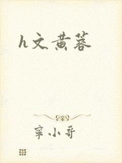 h文黄蓉封面