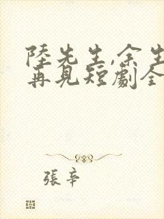 陆先生,余生不再见短剧全集