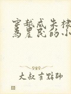 穿越成朱棣被贬为农民的小说