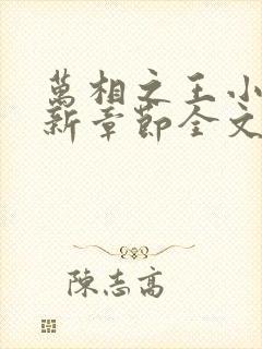 万相之王小说最新章节全文免费阅读封面