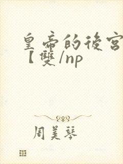 皇帝的后宫日常【双/np