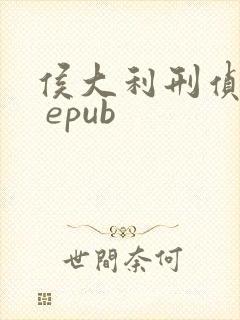 侯大利刑侦笔记 epub
