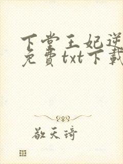 下堂王妃逆袭记免费txt下载