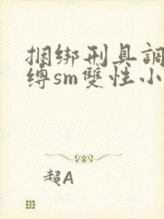 捆绑刑具调教束缚sm双性小说