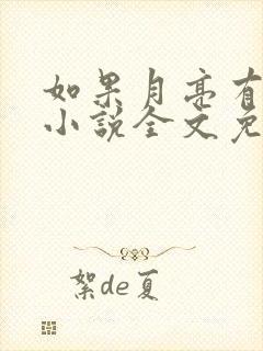 如果月亮有秘密小说全文免费阅读