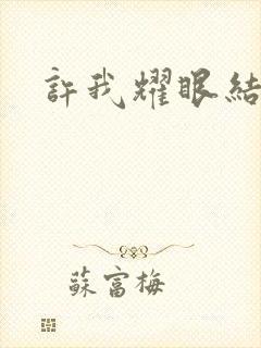 许我耀眼结局