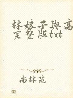 林娘子与高衙内完整版txt
