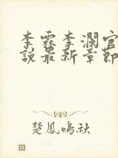 李霖李澜官场小说最新章节