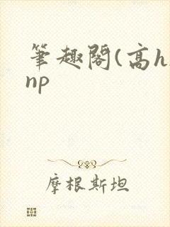笔趣阁(高h)np