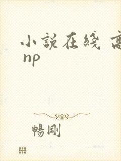 小说在线 高h np