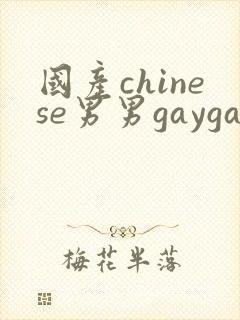 国产chinese男男gaygay网站封面