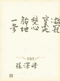 一胎双宝:总裁爹地心尖宠