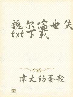魏尔伦也失忆了txt下载