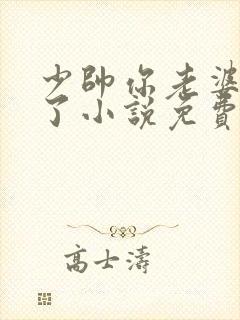 少帅你老婆又跑了小说免费下载