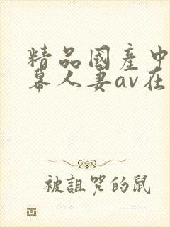 精品国产中文字幕人妻av在线