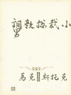 调教总裁小说男男