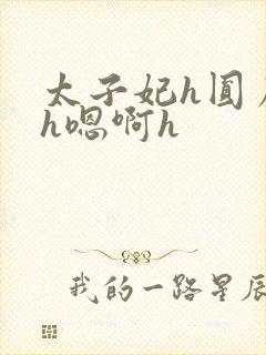 太子妃h圆房～h嗯啊h封面