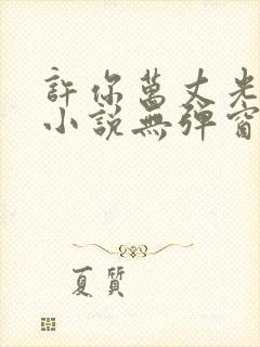 许你万丈光芒好小说无弹窗无广告