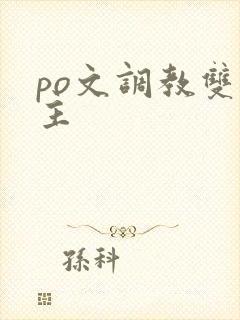 po文调教双男主