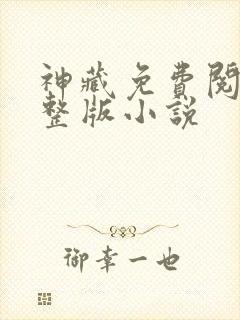 神藏免费阅读完整版小说