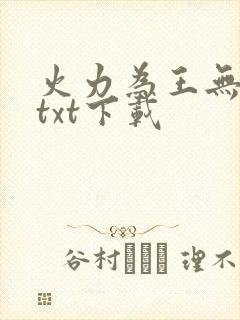 火力为王无错版txt下载封面