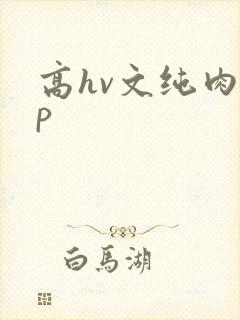 高hv文纯肉np
