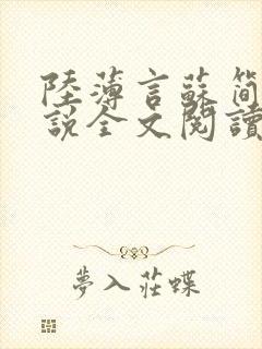 陆薄言苏简安小说全文阅读