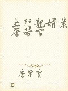 上门龙婿叶凡与唐若雪