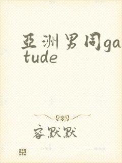 亚洲男同gay tude