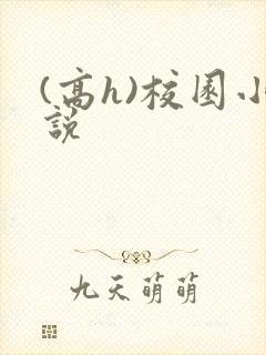 (高h)校园小说
