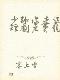 少帅你老婆又跑短剧免费观看在线播放