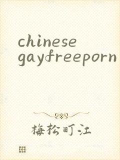 chinesegayfreeporn