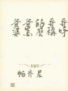 爸爸的哥哥的老婆怎么称呼