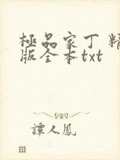 极品家丁 精校版全本txt