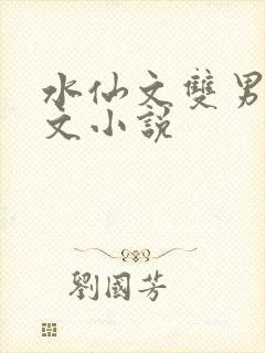 水仙文双男主推文小说