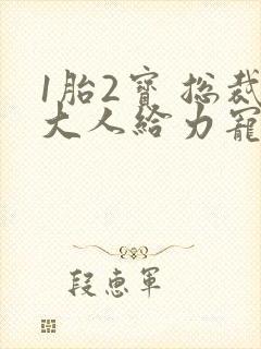 1胎2宝 总裁大人给力宠免费阅读