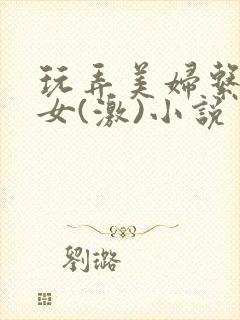 玩弄美妇系列熟女(激)小说
