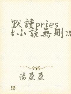 默读priest小说无删减正版在线阅读