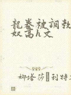 龙卷被调教成肉奴高h文